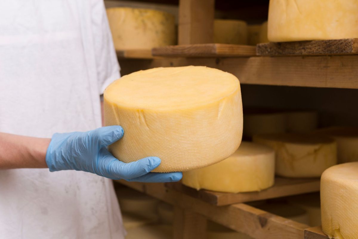 Is it possible to ripen a cheese at home?