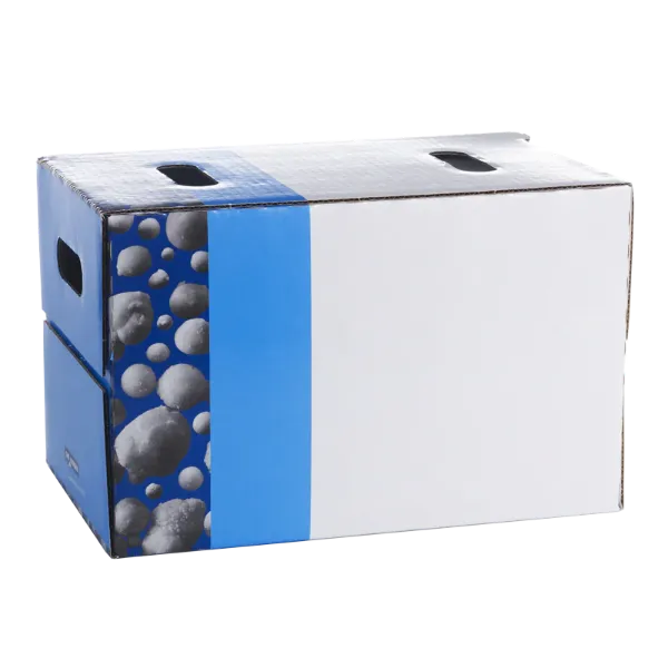Bactoferm® SM-75 25g